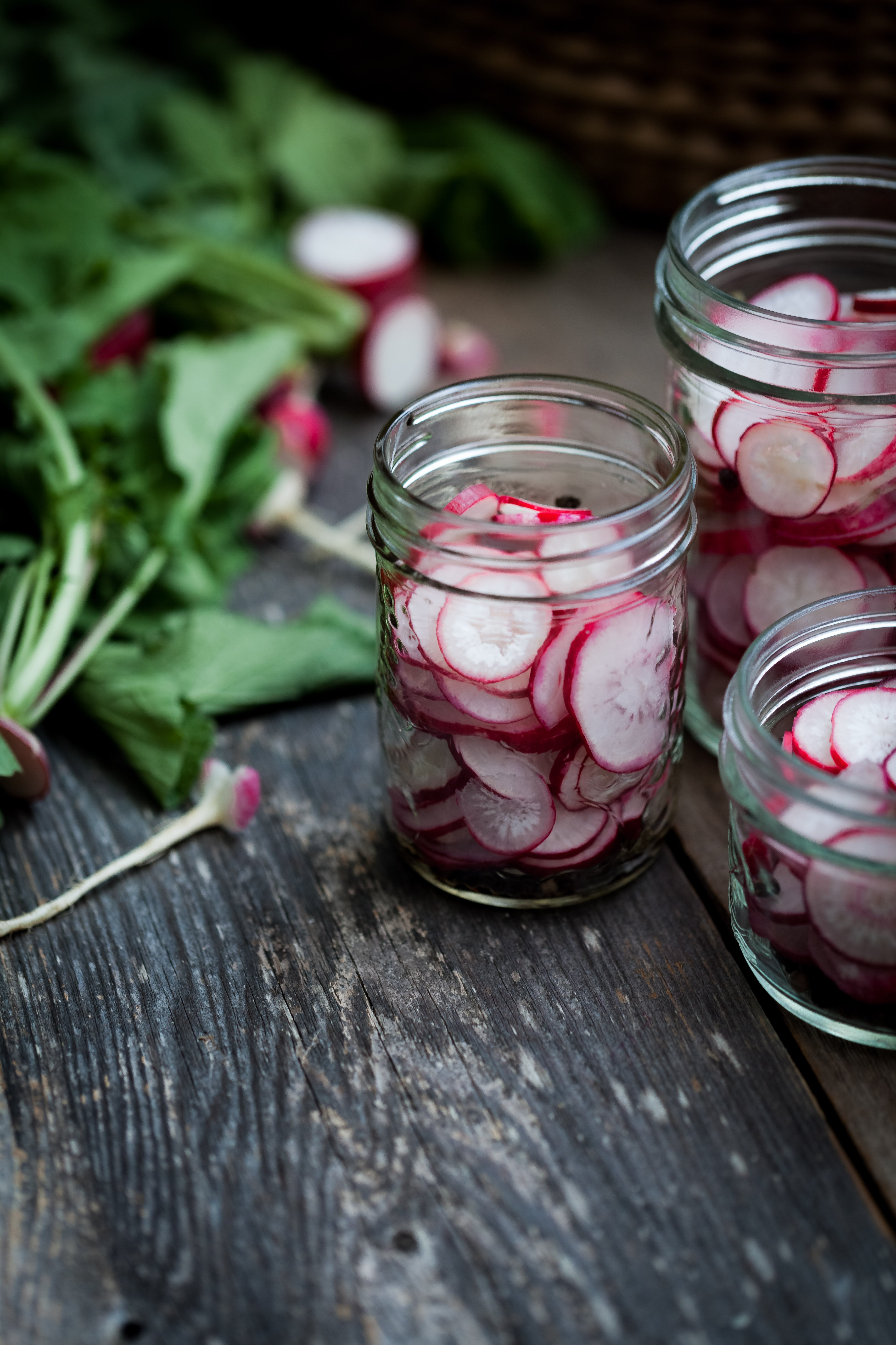 three jars of filled with sliced radishes with radish leaves on the left.