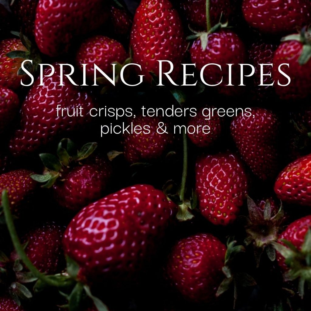 strawberries with text overlay Spring Recipes fruits crisps tender greens, pickles and more.