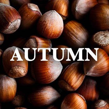 Hazelnuts in shell with text overlay 'autumn'.