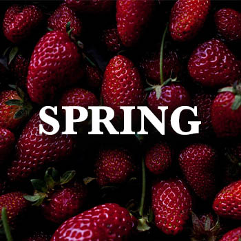 closeup of strawberries with text overlay "spring".