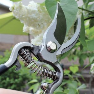 close up of metal bypass hand pruners.