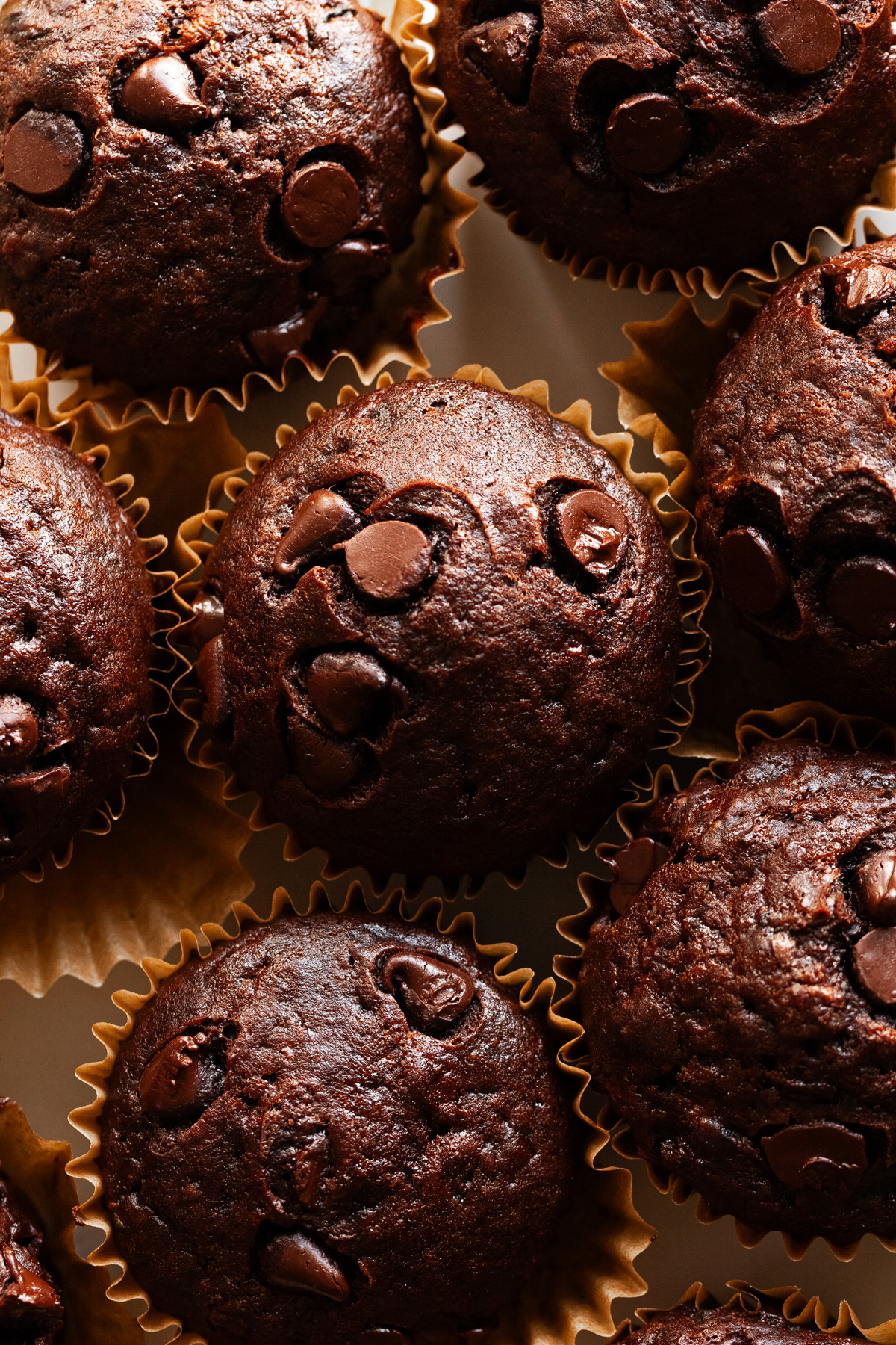 close up of chocolate zucchini muffins with chocolate chips.